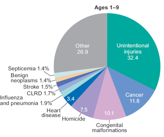 Child Mortality Pie Chart