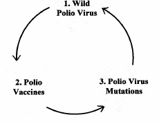 Polio Wild Virus